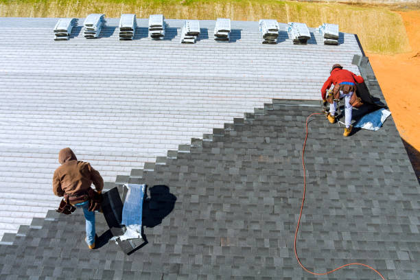 Best Storm Damage Roof Repair  in Orange City, IA